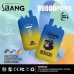 Bang-Leader-80000-80K-Puffs-three-flavor-vape_Blueberry-Ice-Black-Dragon-Ice-Mango-Peach_mugovape